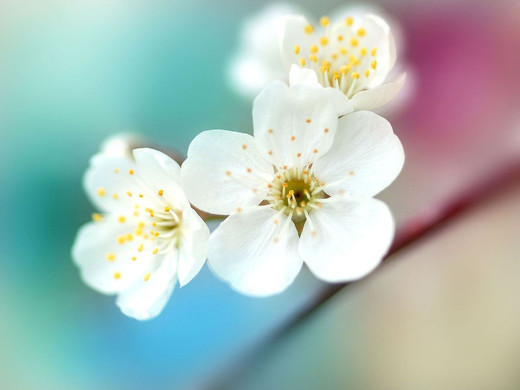 623457 (a): :2060x1545
